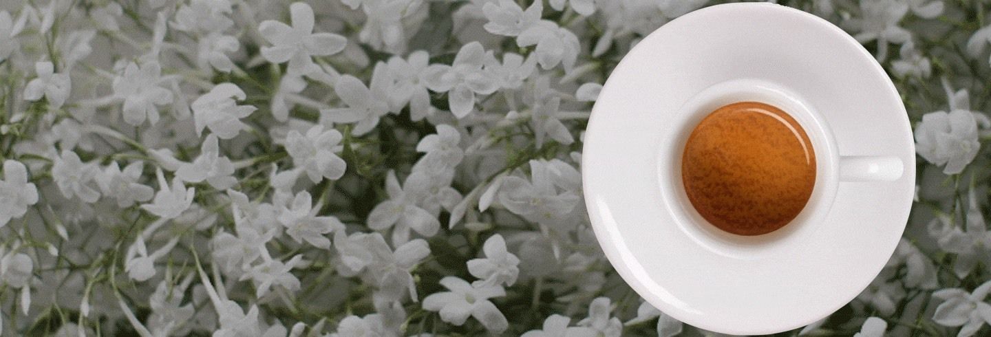 Csatlakozzon az Espresso Klubhoz!